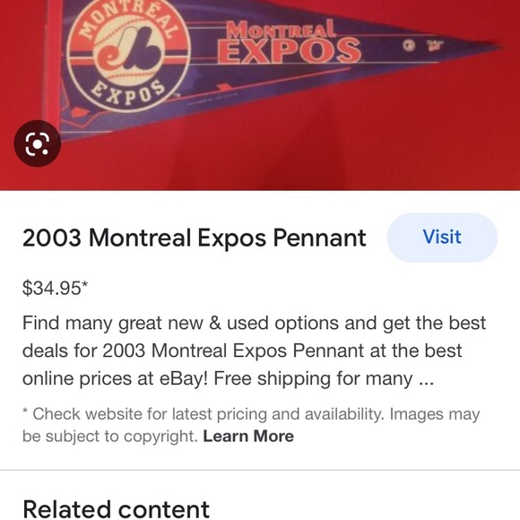 MONTREAL EXPOS WINCRAFT 2003 - Picture 7 of 9
